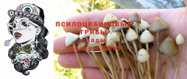 крисы Алексеевка
